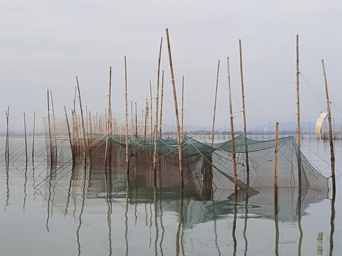 quảng ninh: tàu thuyền gặp khó vì cọc, lưới giăng kín bãi triều nghìn ha